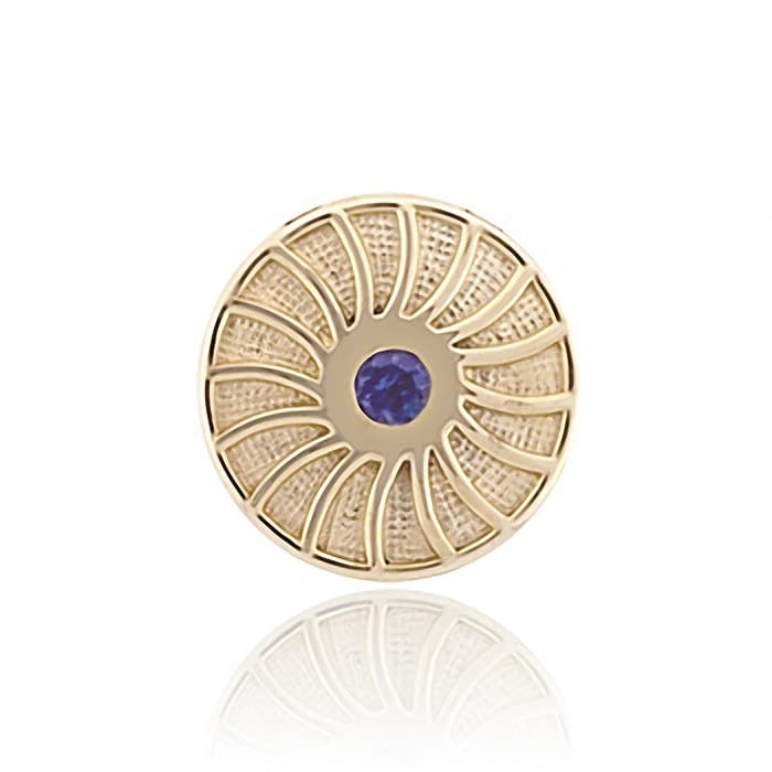 SL263 14kt Yellow Gold Iolite top